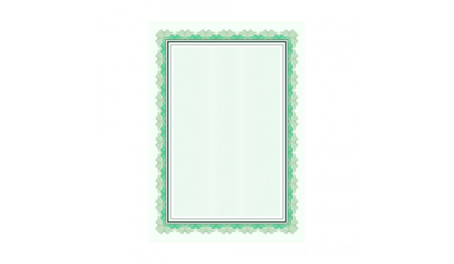 Diplomipõhi Falbala Z 170g/25lk