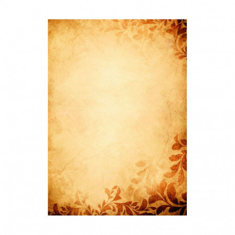 Kirjablankett Amber 170g/25lk