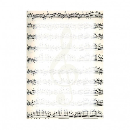 Diplomipõhi Music 170g/25lk