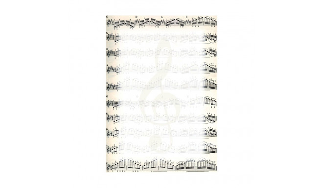 Diplomipõhi Music 170g/25lk