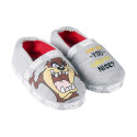 House Slippers Looney Tunes Light grey - 28-29