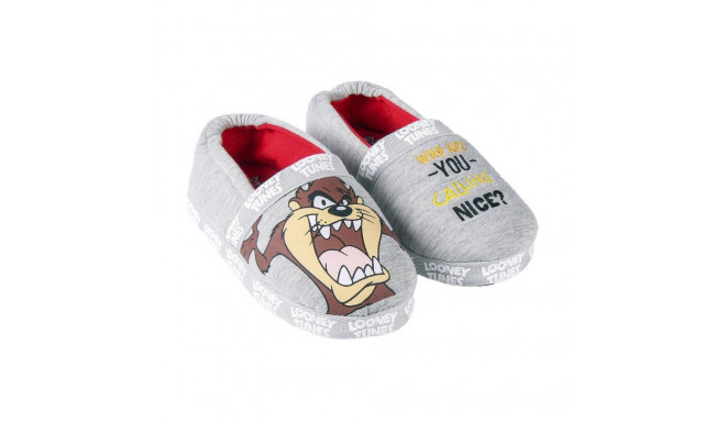 House Slippers Looney Tunes Light grey - 28-29