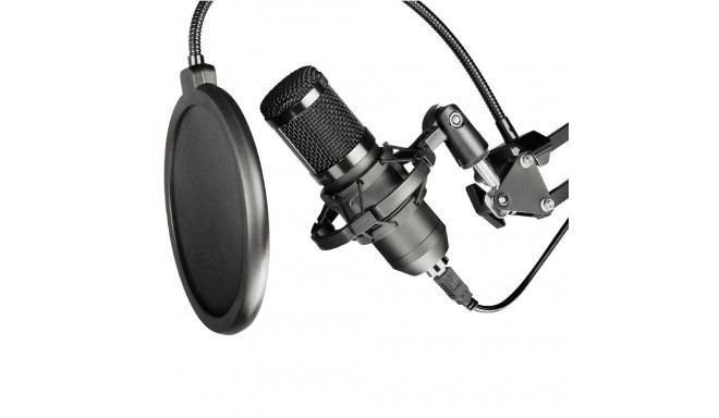 ART condenser microphone on a boom with a diaphragm AC-03 black