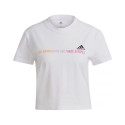 Adidas Gradient Logo Cropped T-shirt W GM5577 (L)
