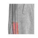Adidas Tango Tech Short M FM0858 shorts (L)