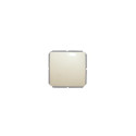 BEIGE ST150 SWITCH P110-010-04 V