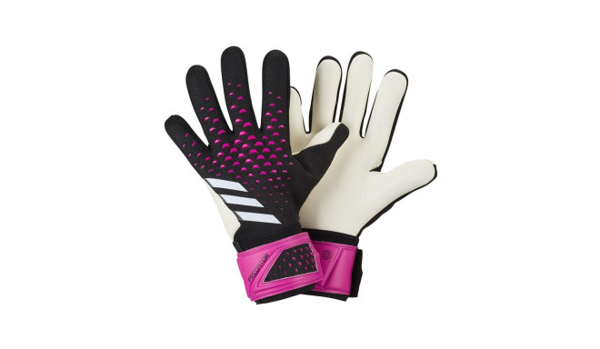 Adidas Predator GL LGE goalkeeper gloves HN7993 (8,5)