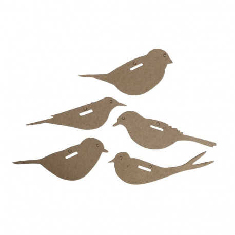 Papist toorikud LINNUD