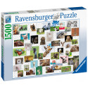Ravensburger pusle 1500 tk Naljakad loomad