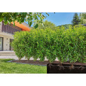 Gardena Micro-Drip-System drip line for bushes/hedges 1.6 l/h, 50 meters, dripper (black, model 2023