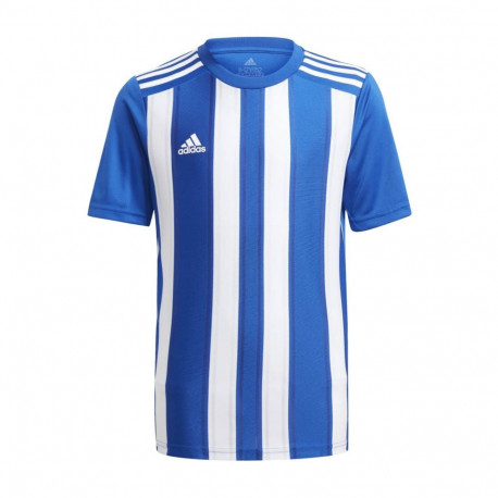 adidas laste spordisärk Striped 21 GH7323 140cm, valge-sinine