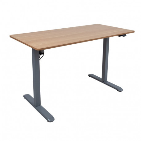 Töölaud ERGO LIGHT 1-mootoriga 120x60xH73-118cm, tamm/hõbehall