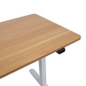 Desk ERGO LIGHT with 1 motor 120x60cm, white/oak