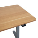 Desk ERGO LIGHT with 1 motor 120x60cm, silver grey/oak