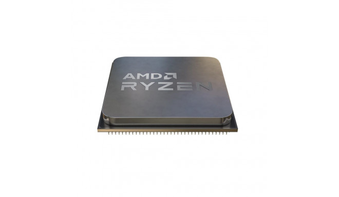 AMD Ryzen 5 5600G processor 3.9 GHz 16 MB L2 & L3