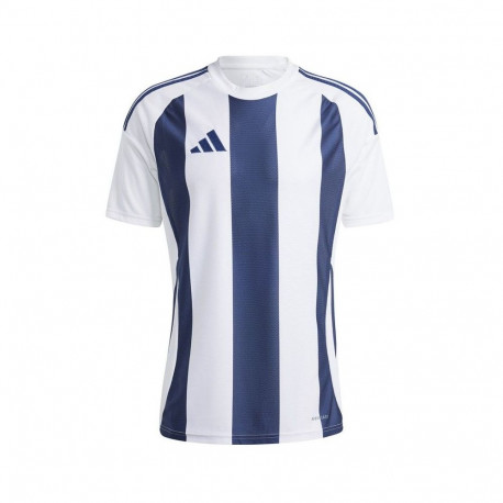 Adidas Striped 24 JSY M T-shirt IW4554 (M)