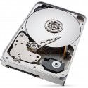 12TB Seagate IronWolf Pro ST12000NT001 7200RP