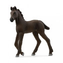 Figure Friesian Foal