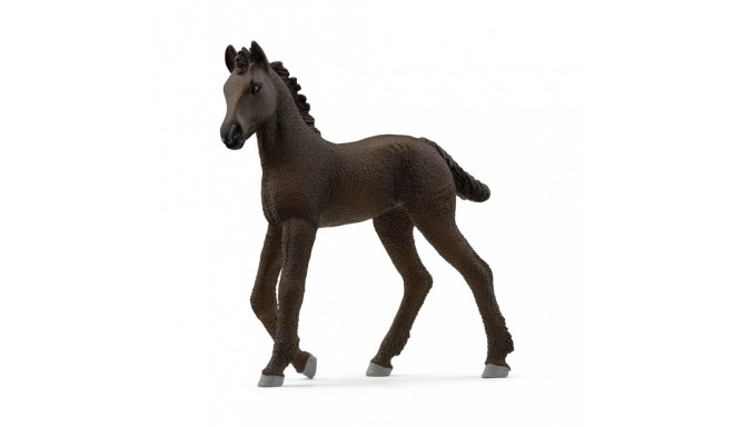 Figure Friesian Foal