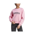 Adidas All Szn Fleece Graphic Sweatshirt IC8716 (L)