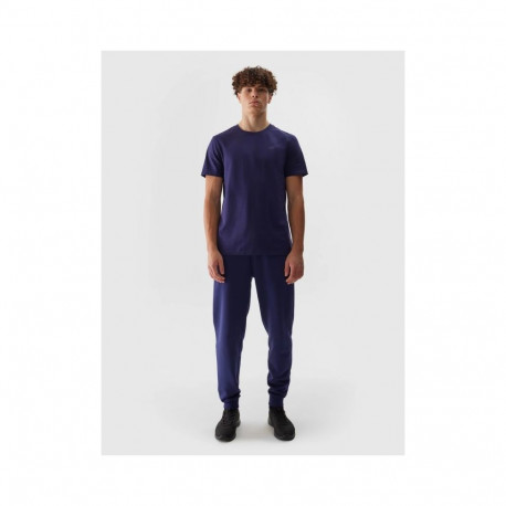 Trousers 4F M 4FWSS24TTROM603 31S (L)