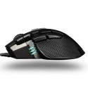 Ironclaw RGB Wireless