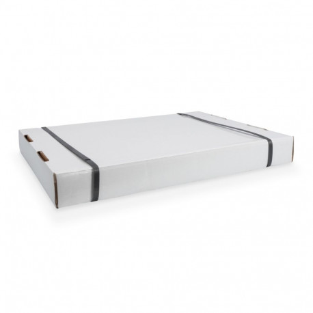 DIGITUS Professional SoHo Wall Mounting Cabinet, unmounted - 540x400 mm (WxD)