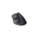 Trust Bayo II mouse Right-hand RF Wireless Optical 2400 DPI