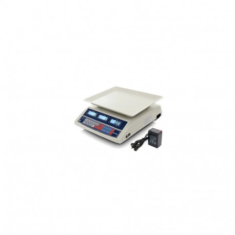 ELECTRONIC SCALE WT-100 40KG