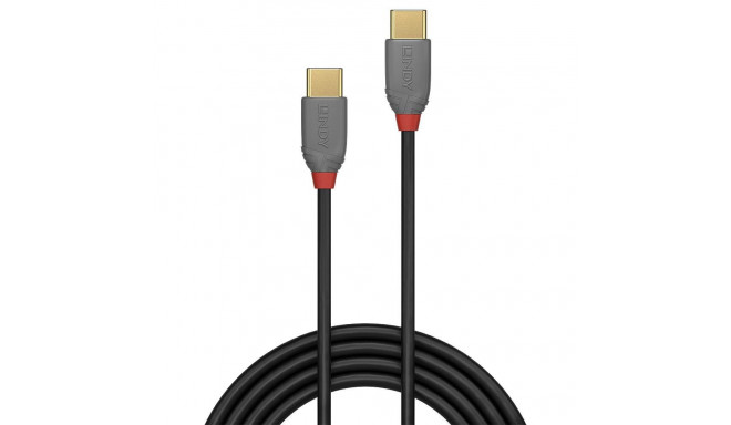 CABLE USB2 TYPE C 1M/ANTHRA 36871 LINDY