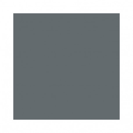 vannitoa värv antratsiit 2L