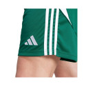 Adidas Tiro 24 M IS1410 shorts (M)