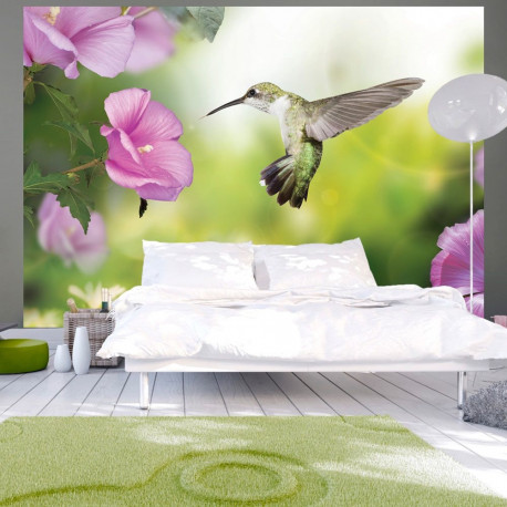 Fototapeet - Humming-bird - 400x280