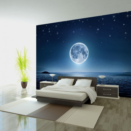 Fototapeet - Moonlit night - 100x70