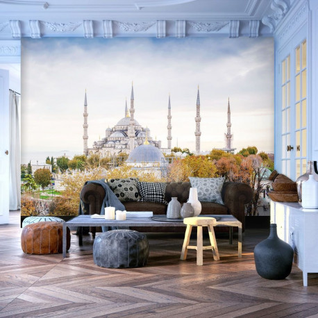 Fototapeet - Hagia Sophia - Istanbul - 150x105