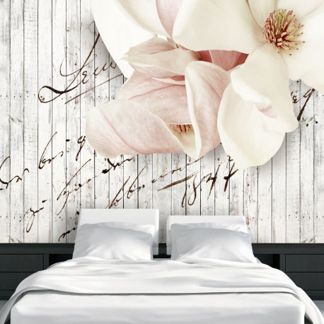 Fototapeet - Love letter - 400x280