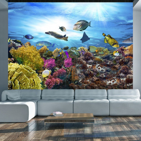 Fototapeet - Coral reef - 150x105