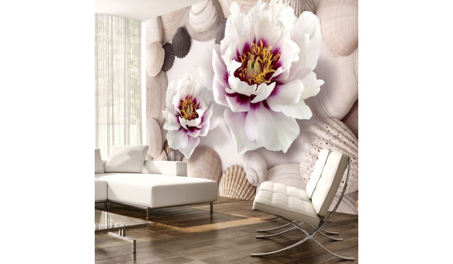 Fototapeet - Flowers and Shells - 300x210