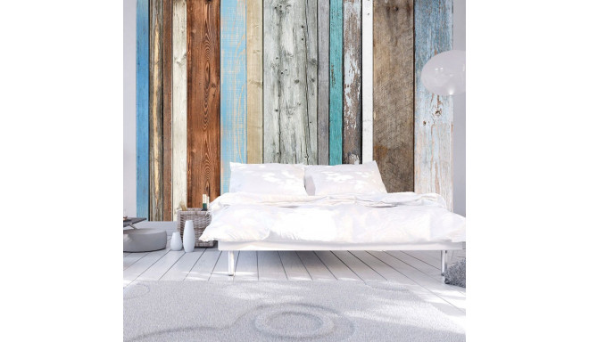 Fototapeet - Colors Arranged - 350x245