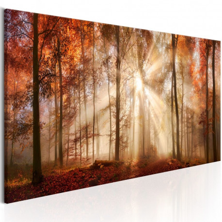 Seinapilt - Autumnal Dawn - 135x45