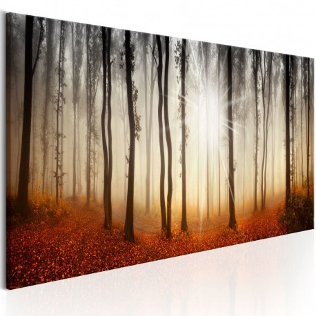 Seinapilt - Autumnal Fog - 120x40