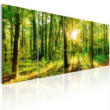 Seinapilt - Magic Forest - 225x90