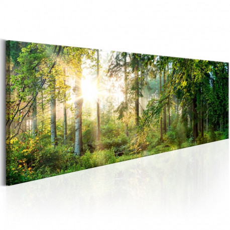Seinapilt - Forest Shelter - 135x45