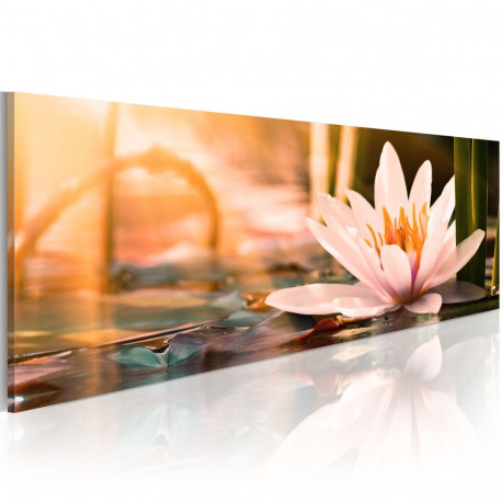 Seinapilt - Beautiful Lotus - 135x45