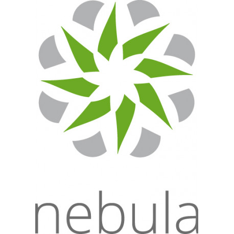 ZYXEL NEBULA PROFESSIONAL PACK LICENSE (PER DEVICE) 1 YR