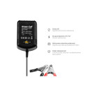 Green Cell ACAGM05 vehicle battery charger 2/6/12 V Black