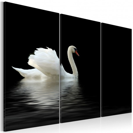 Seinapilt - A lonely white swan - 120x80