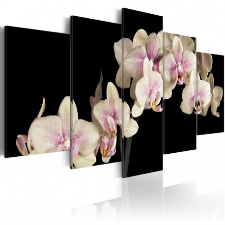 Seinapilt - An orchid on a contrasting background - 100x50