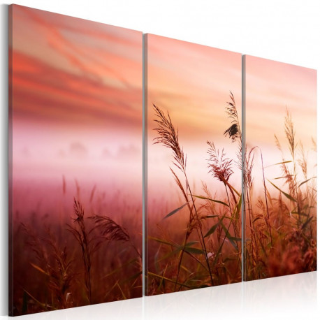 Seinapilt - A silent meadow - 60x40