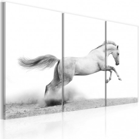 Seinapilt - A galloping horse - 60x40